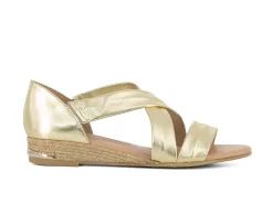 Pinaz